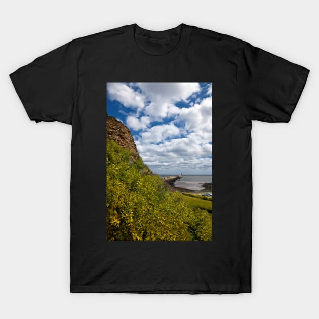 Tynemouth Castle and Pier T-Shirt by Violaman